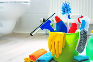 Messie Reinigung Bayreuth